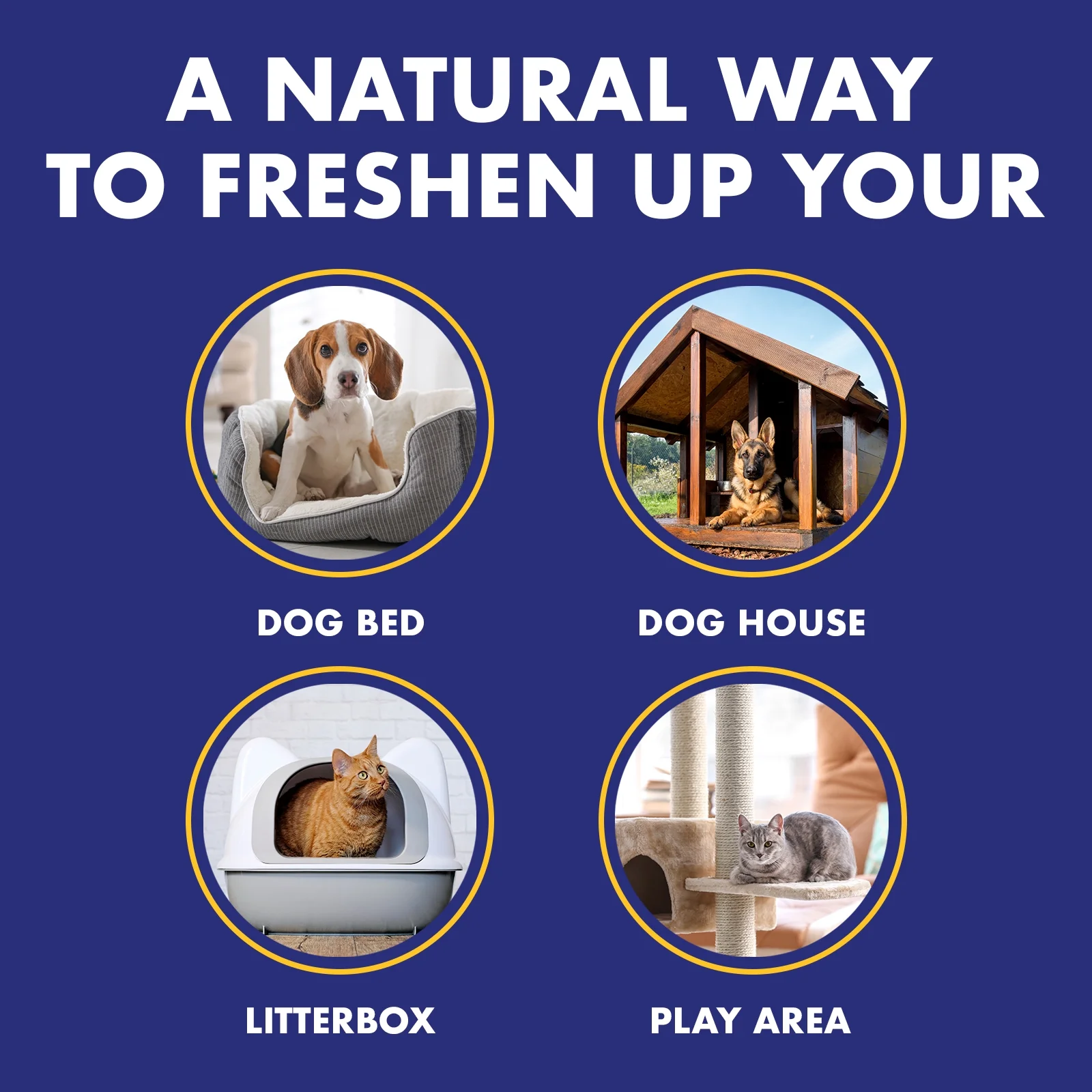 Gonzo Natural Magic Pet Odor Air Magnet Odor... 2